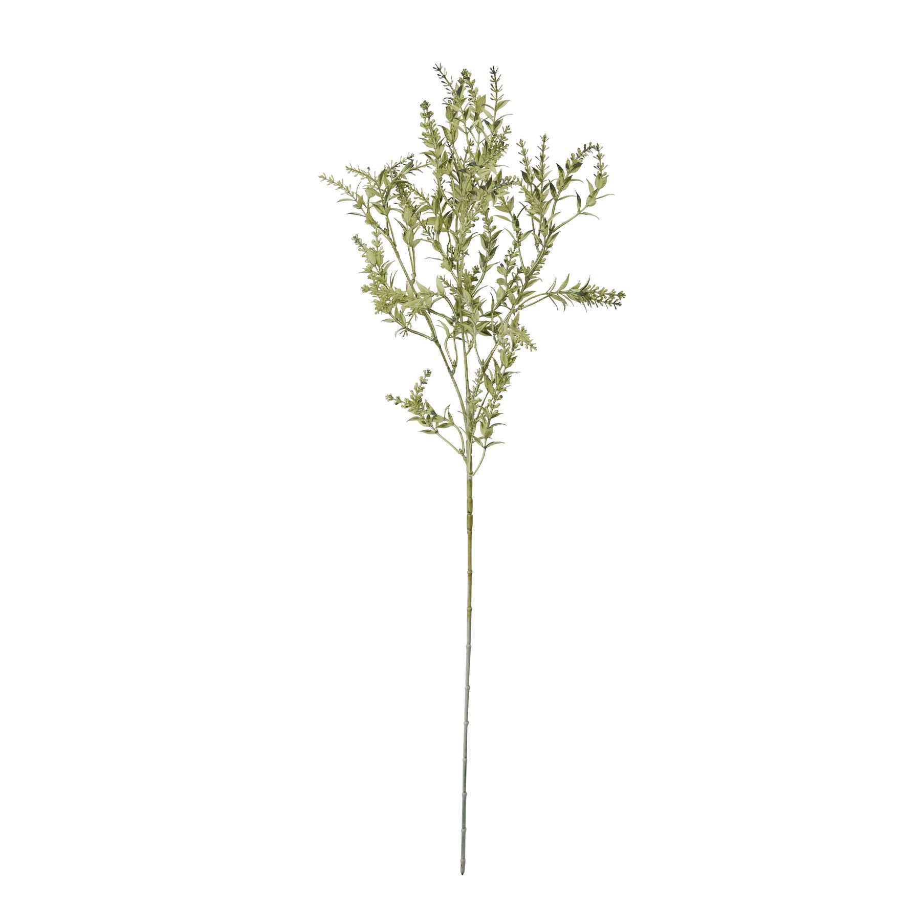 Stem Broom