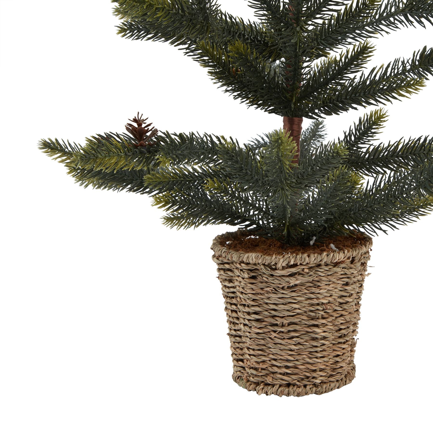 Spruce Tree With Wicker Basket