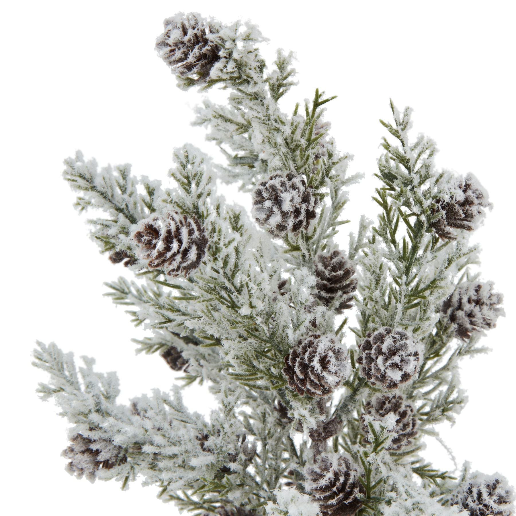 Snowy Fir Tree With Pinecones In Wood Log