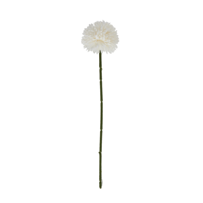 White Chrysanthemum Stem