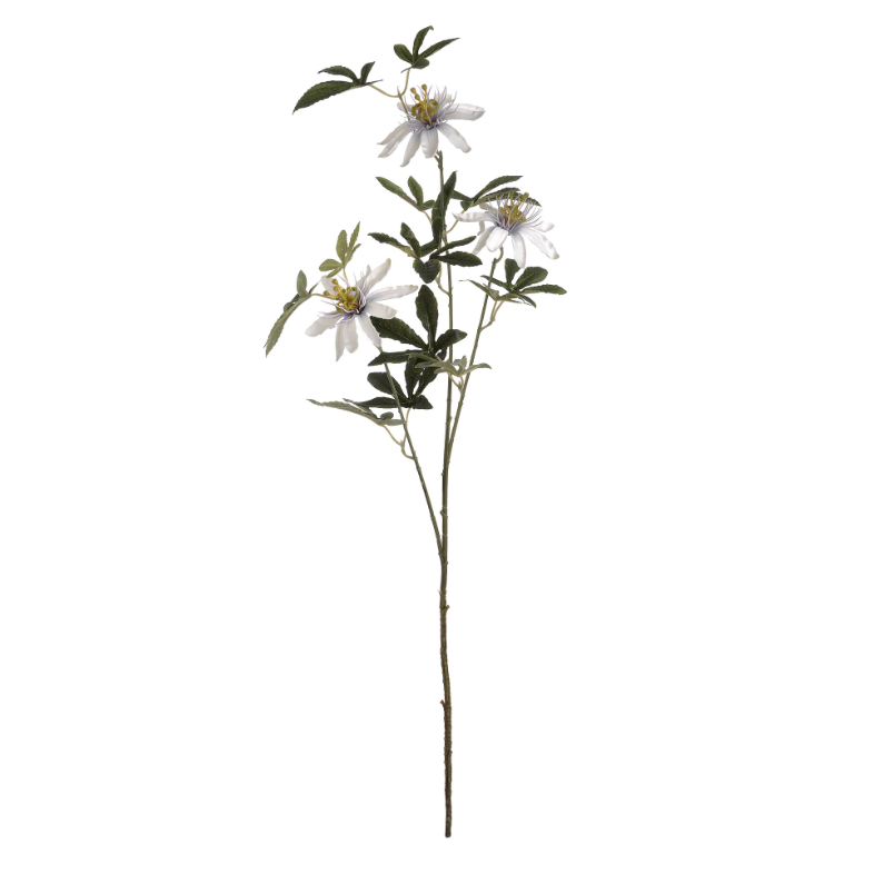 Passion Flower Spray
