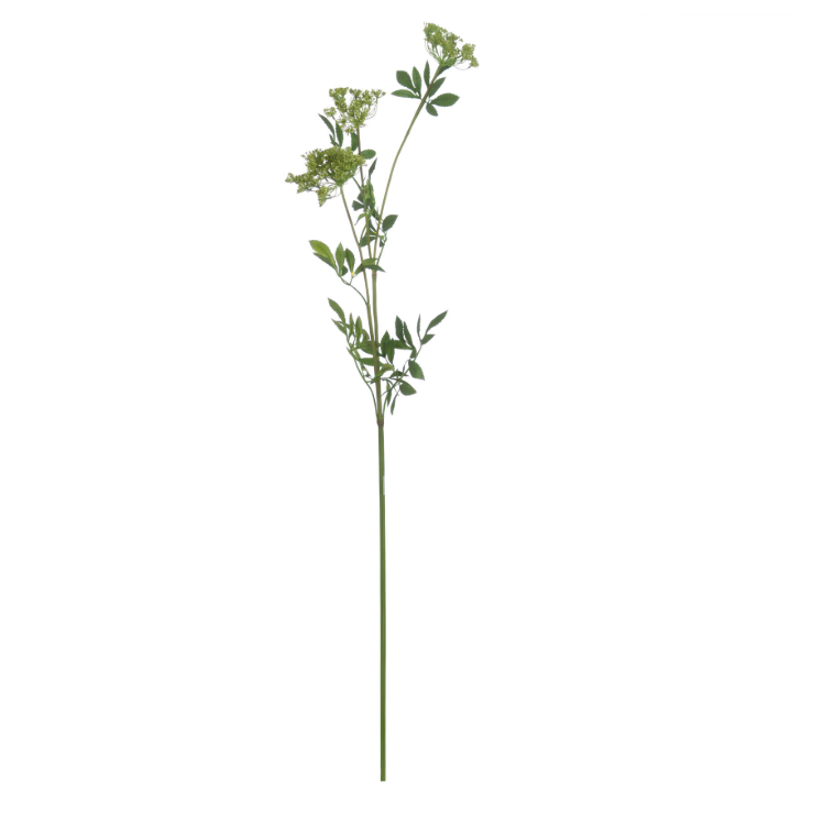Faux Cow Parsley Ammi