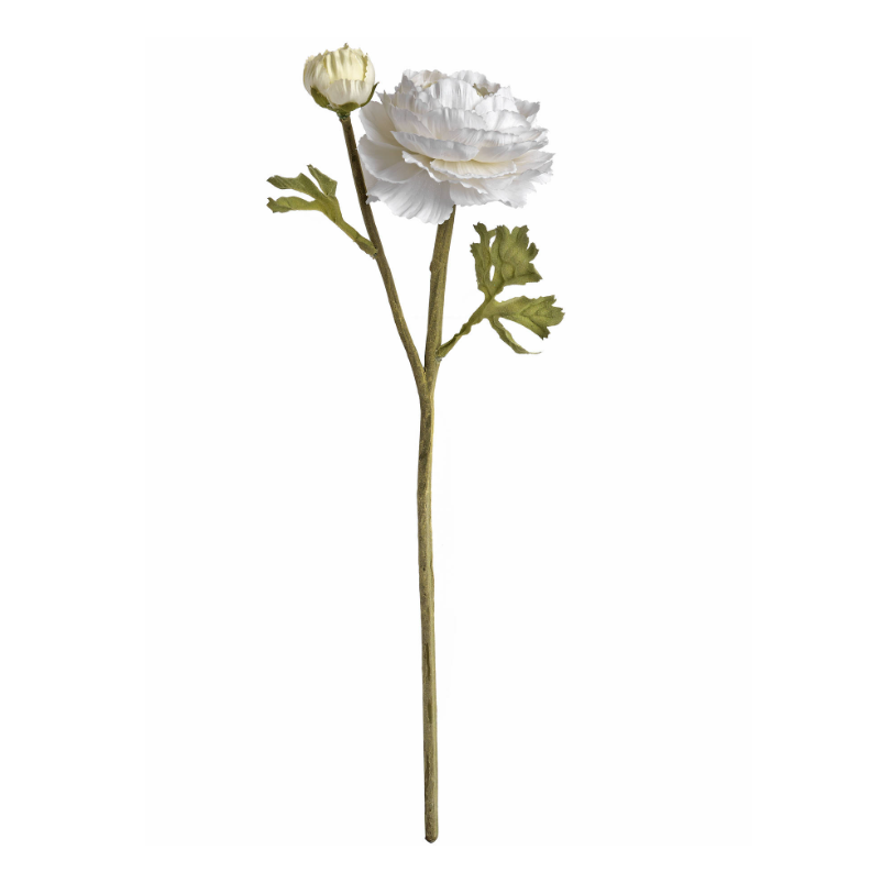 White Ranunculus Spray