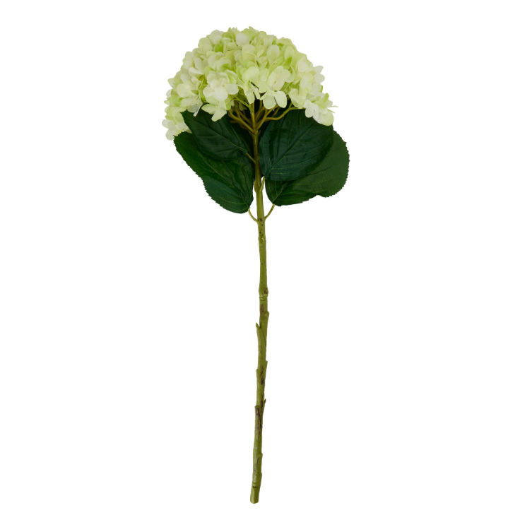 Oversized Green Hydrangea