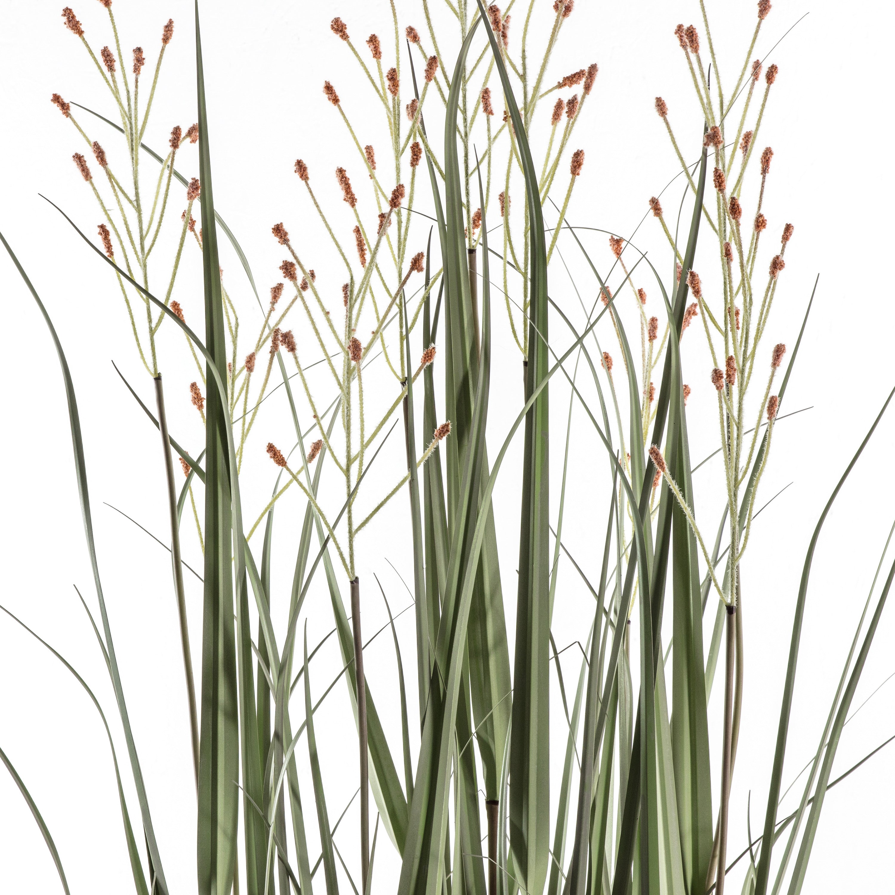 Artificial Green Russet Potted Grass - 2 Size's