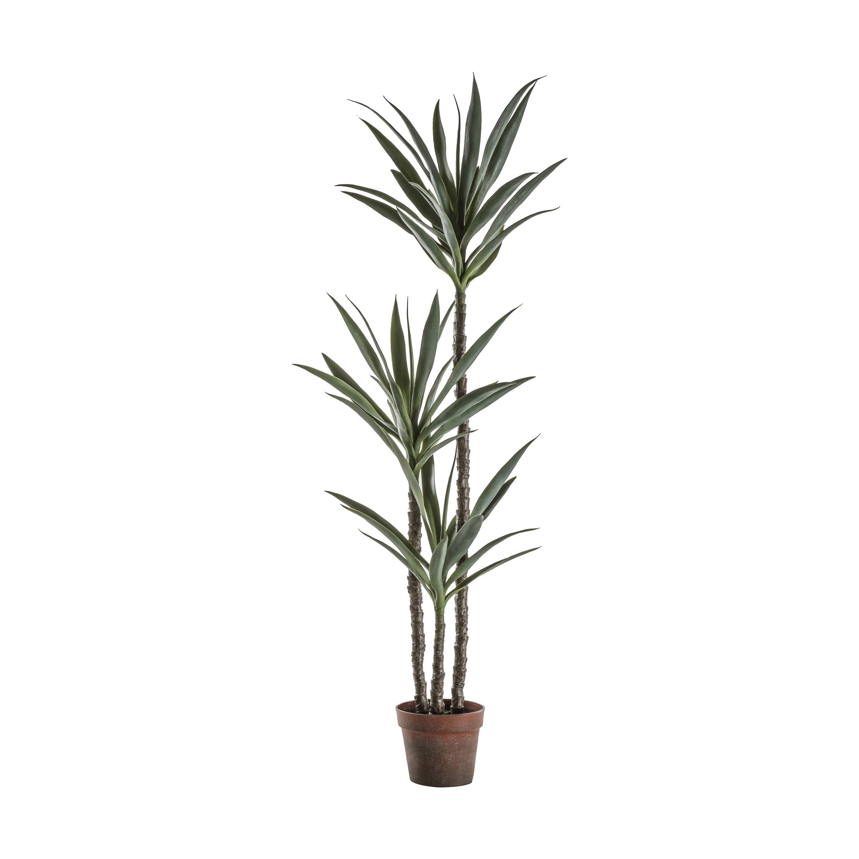 Lifelike Yucca Tree for Greenery - 2 Size's