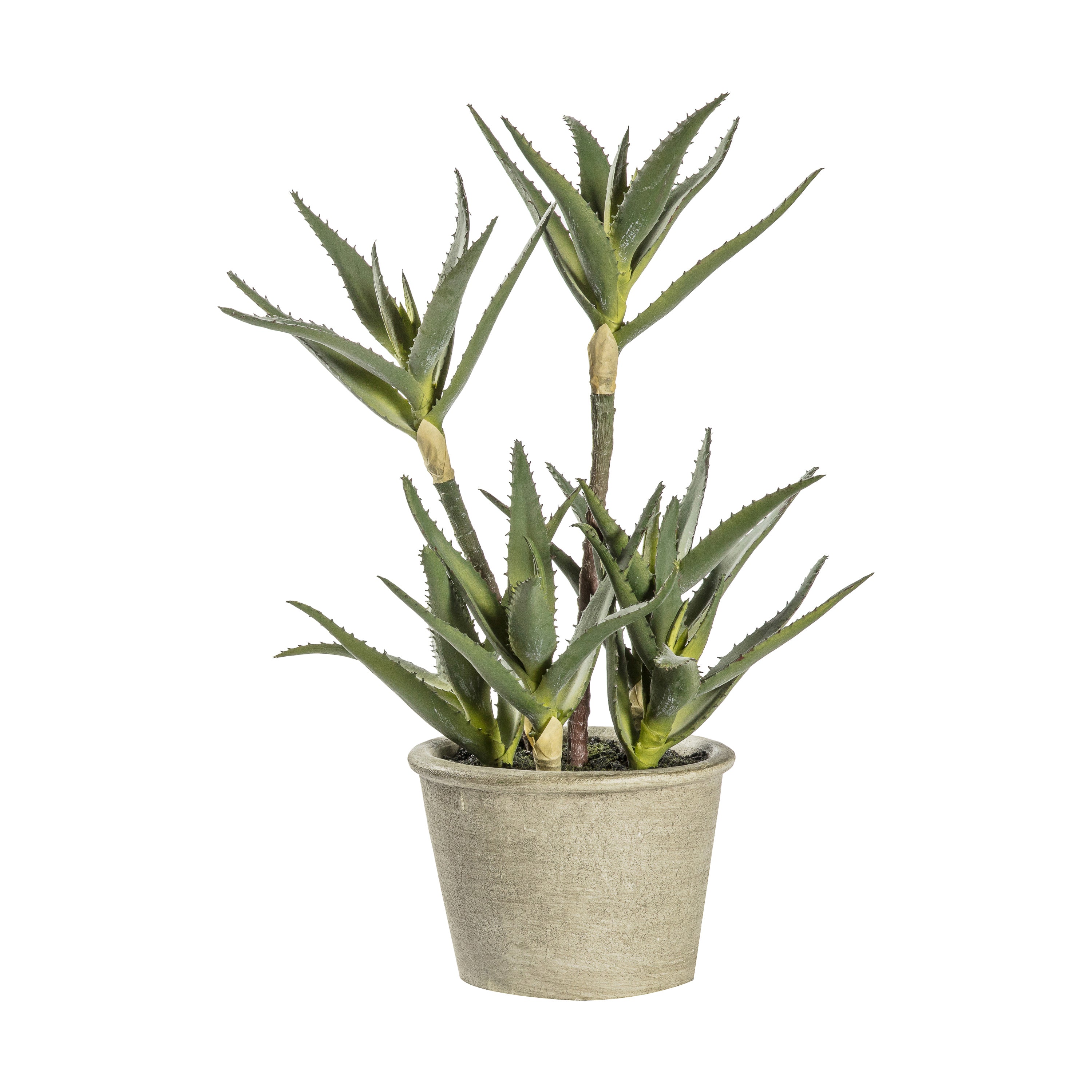 Lifelike Potted Aloe Plant