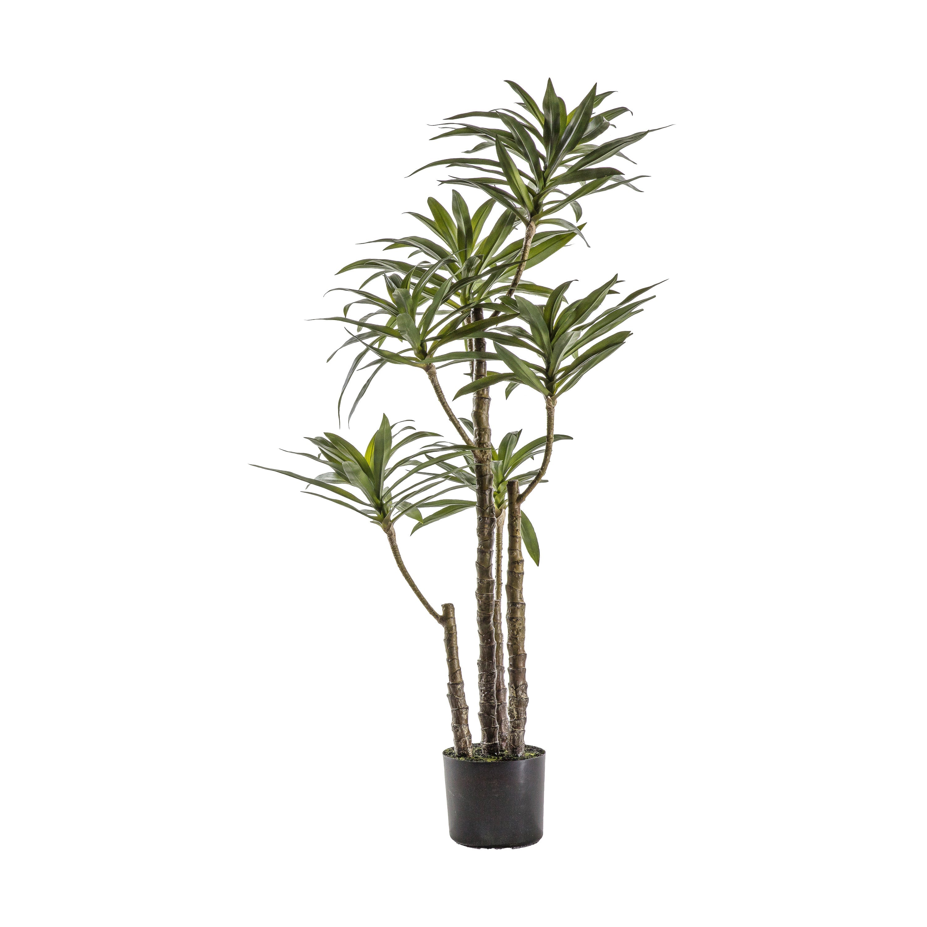 Lifelike Yucca Tree for Greenery - 2 Size's