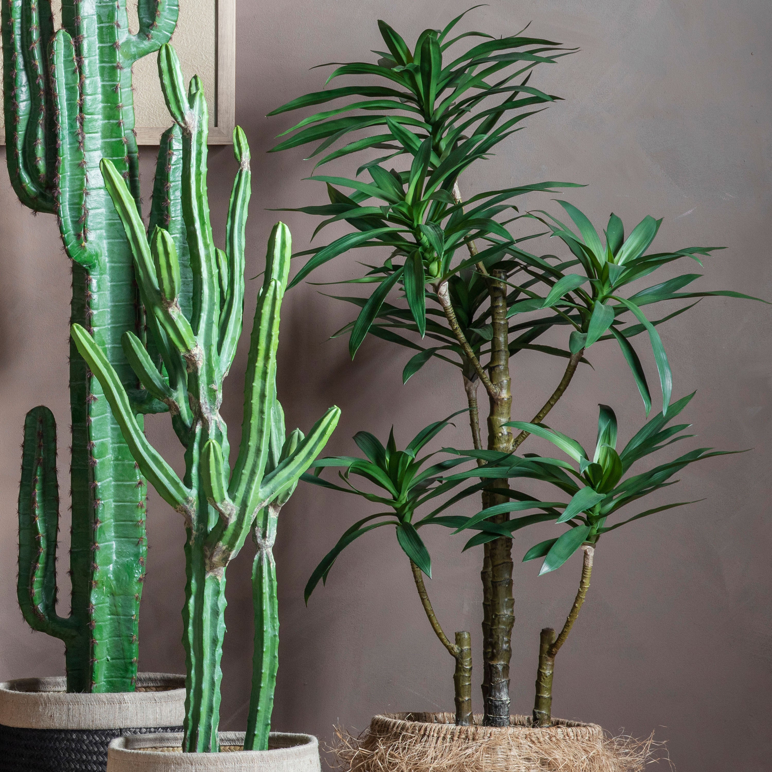 Lifelike Yucca Tree for Greenery - 2 Size's