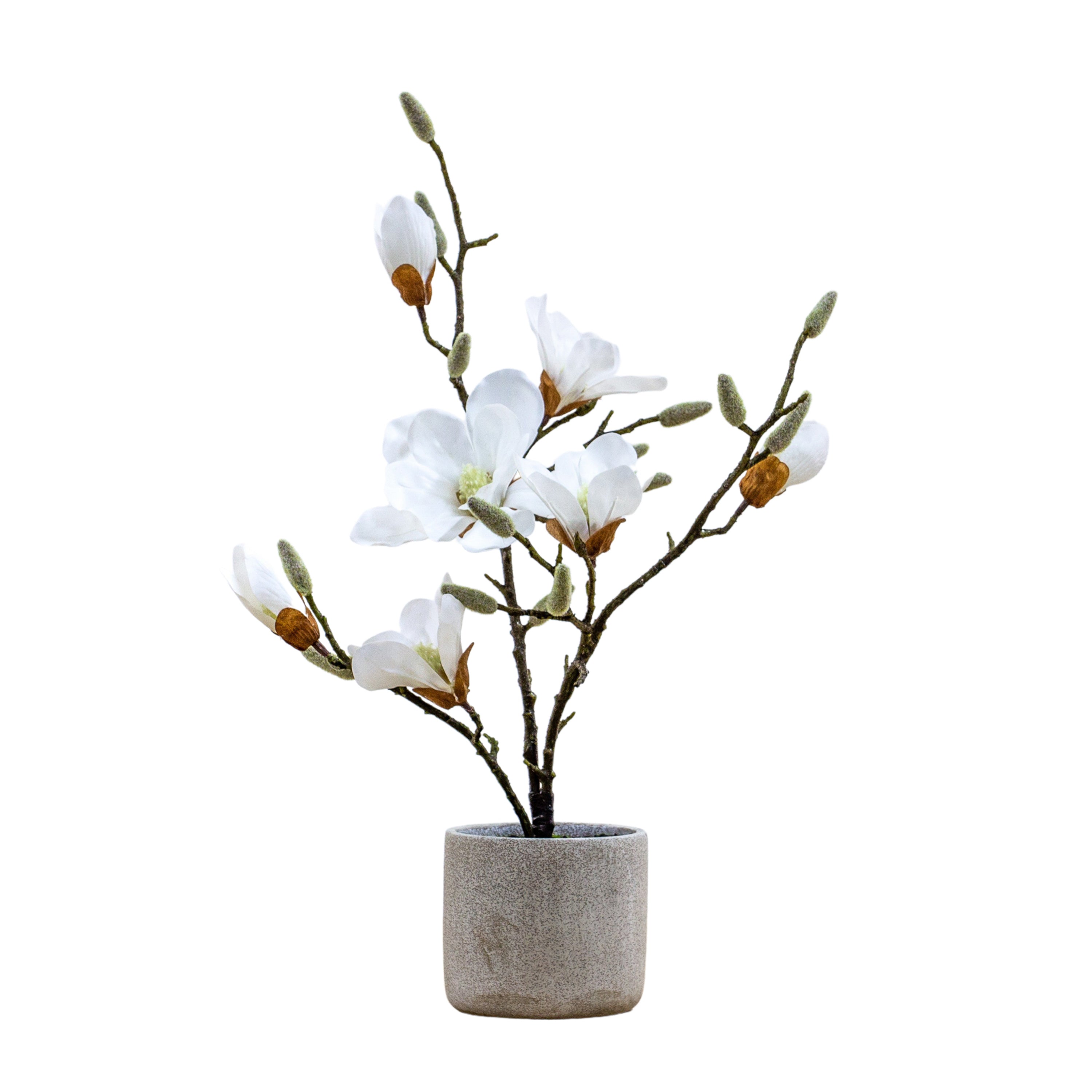 Artificial Magnolia in Ceramic Pot - 2 Colour's