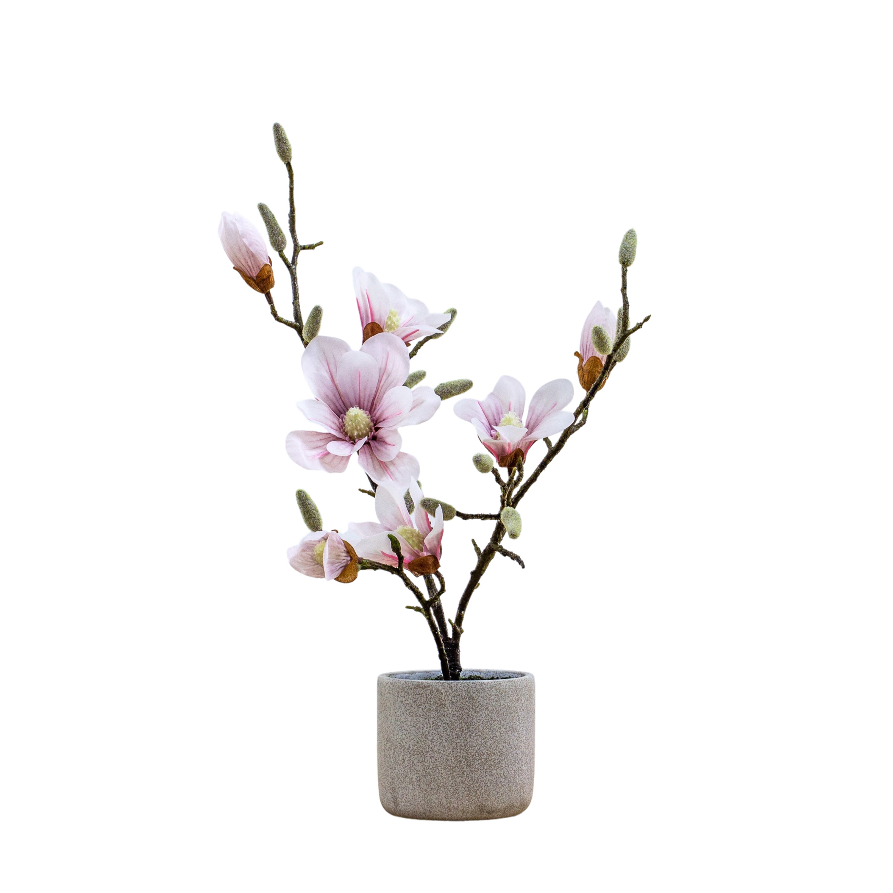 Artificial Magnolia in Ceramic Pot - 2 Colour's