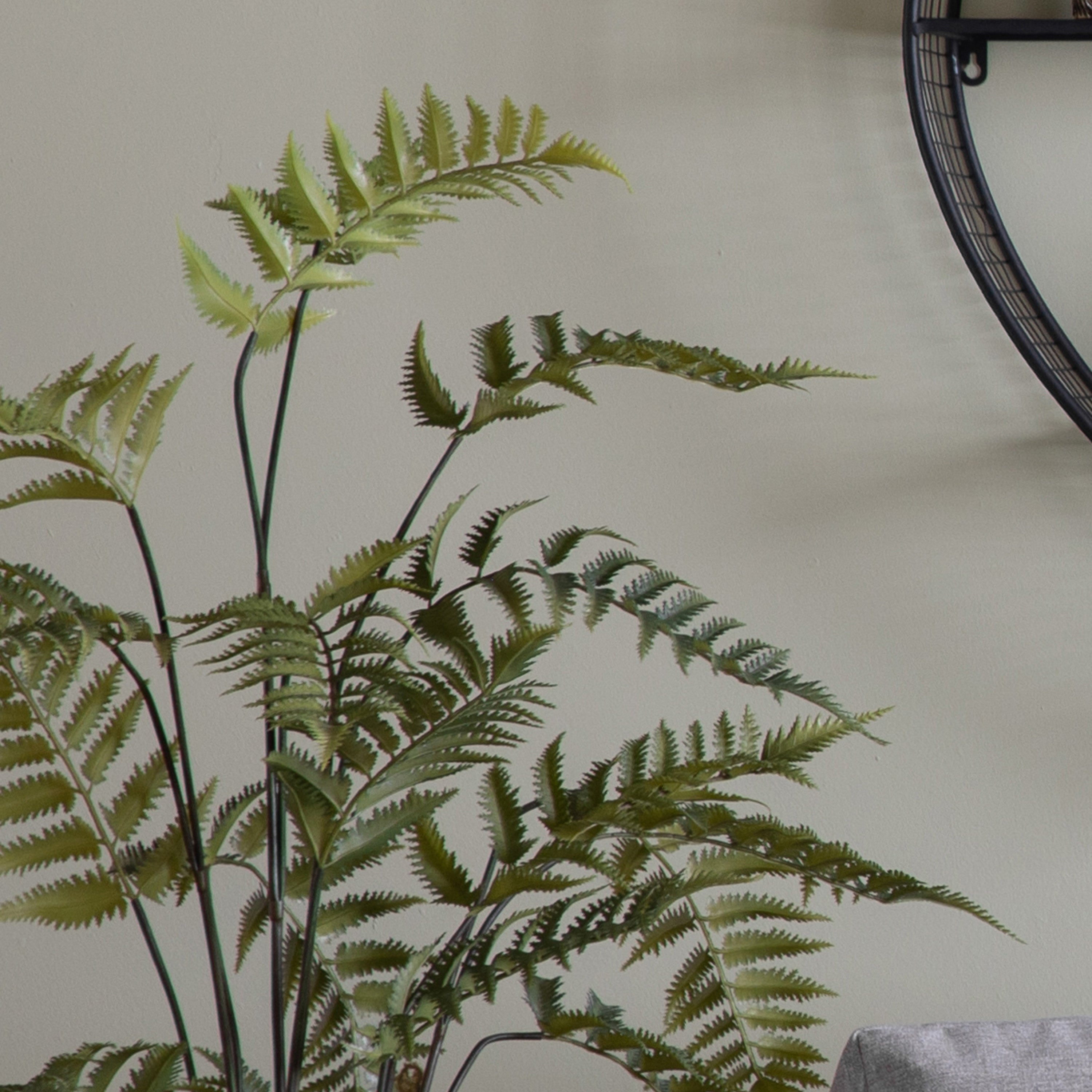 Potted Fern in Distressed Ceramic Pot - 2 Size's