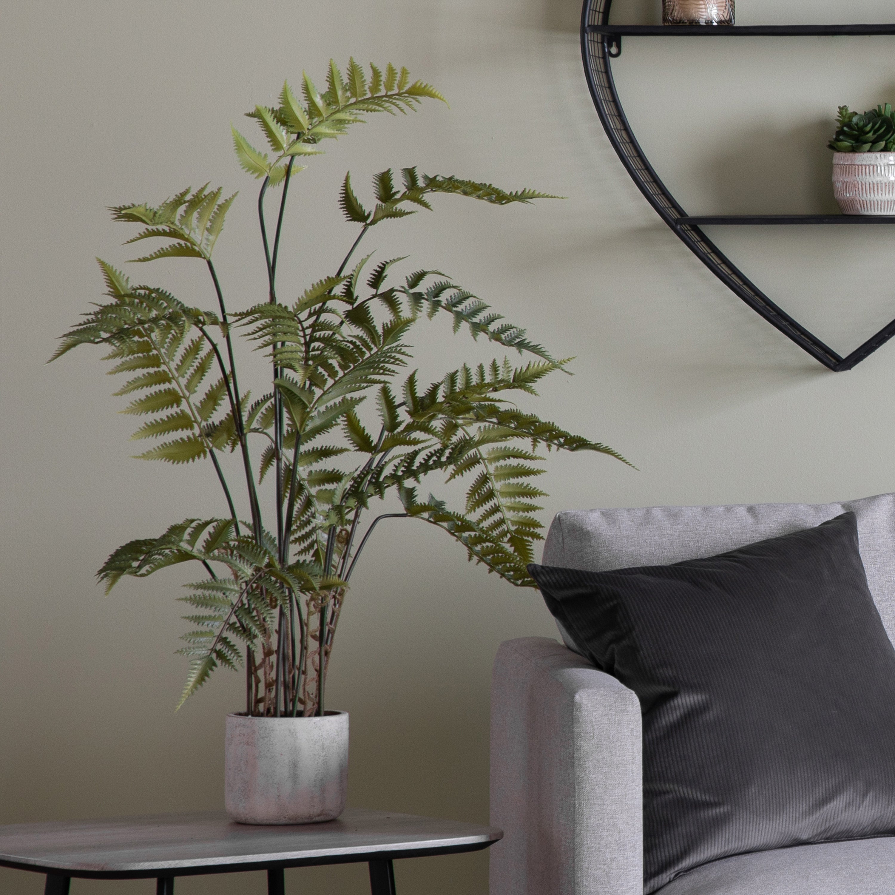Potted Fern in Distressed Ceramic Pot - 2 Size's