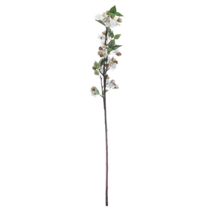 English Blossom Branch