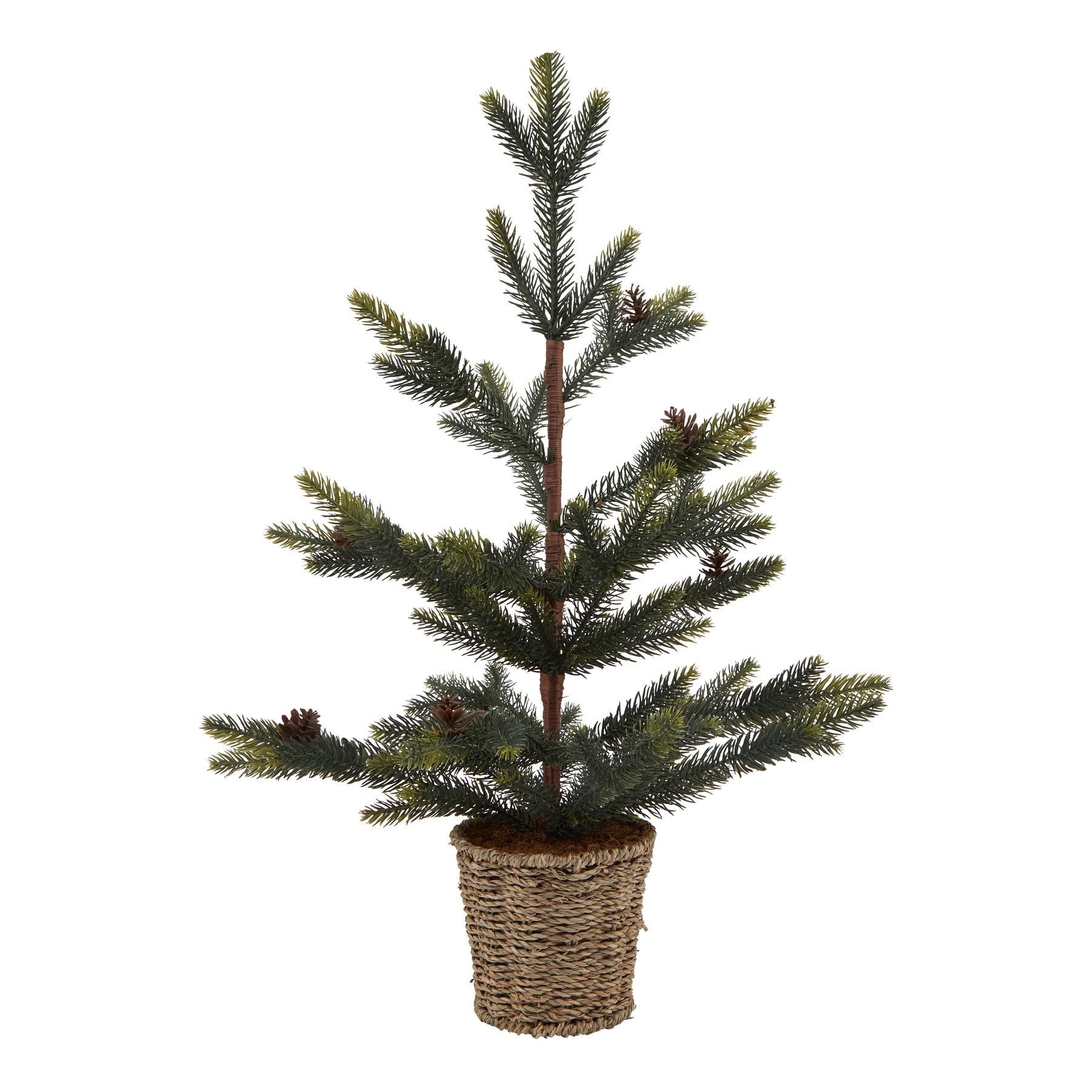 Spruce Tree With Wicker Basket