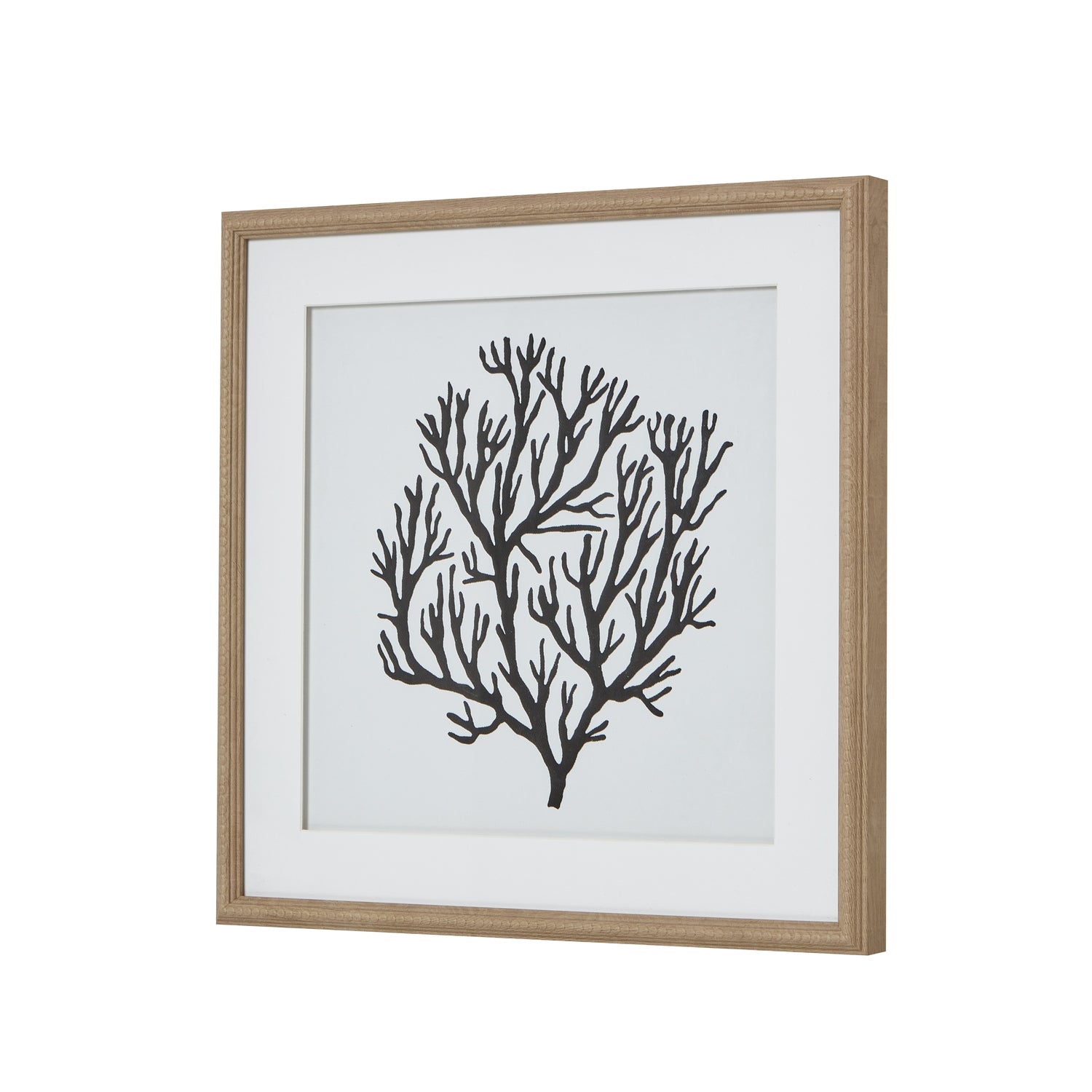 Atol Coral Art Mounted In Beaded Frame