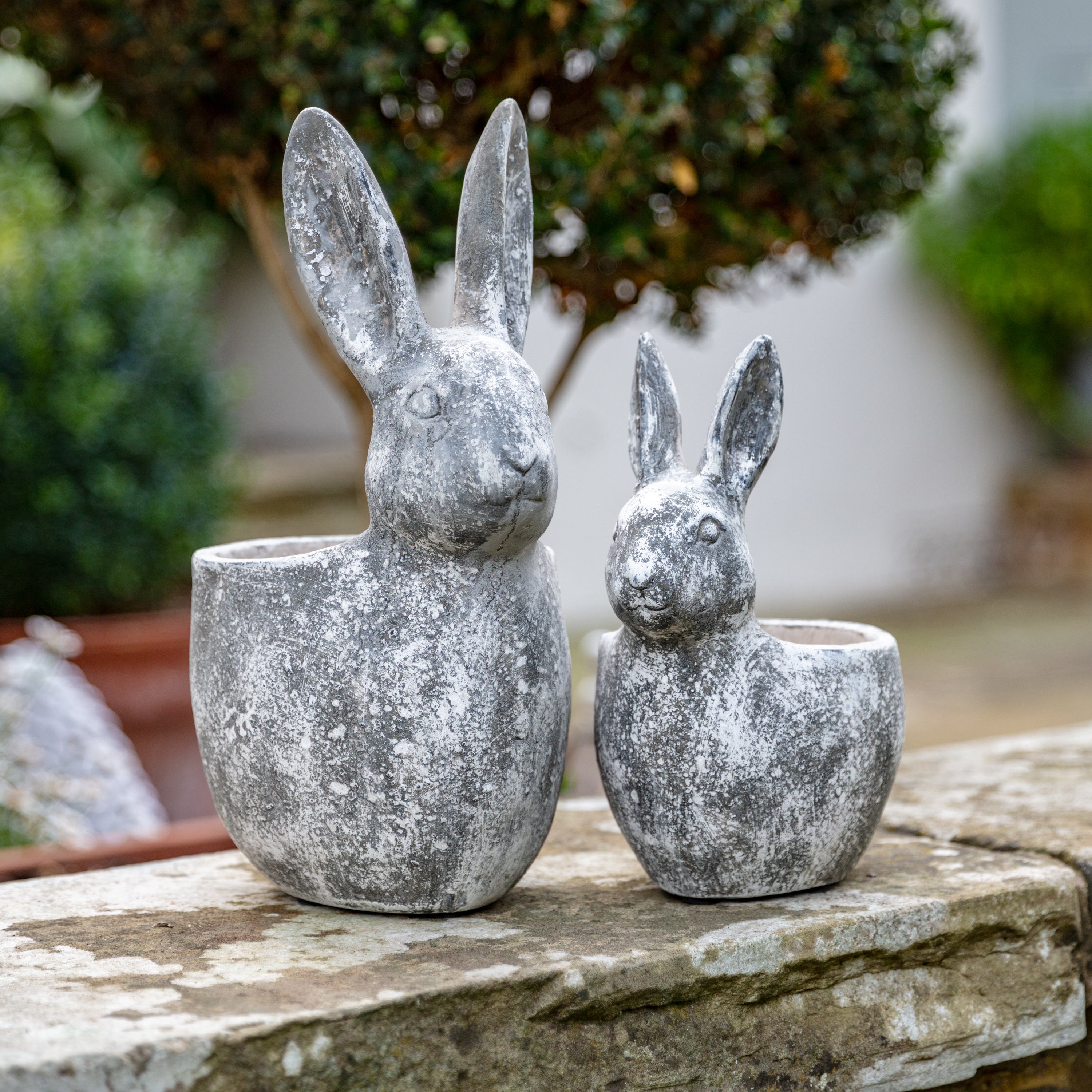 Bunny Pot Large Distressed White Large/White