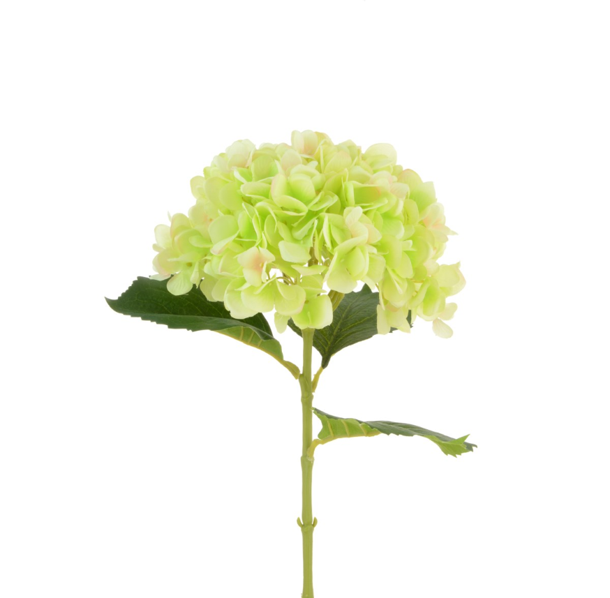 HYDRANGEA 65CM