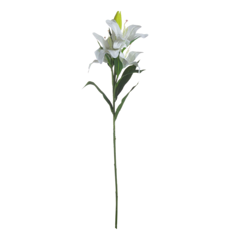 White Lily