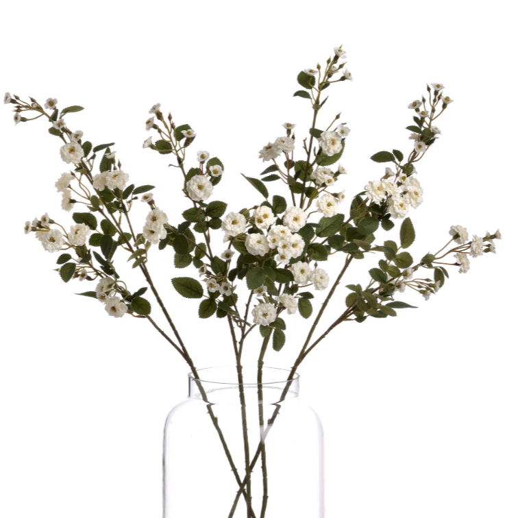 White Wild Meadow Rose