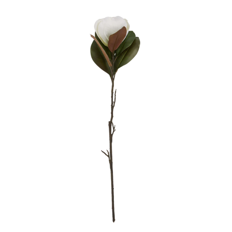 White Magnolia Stem