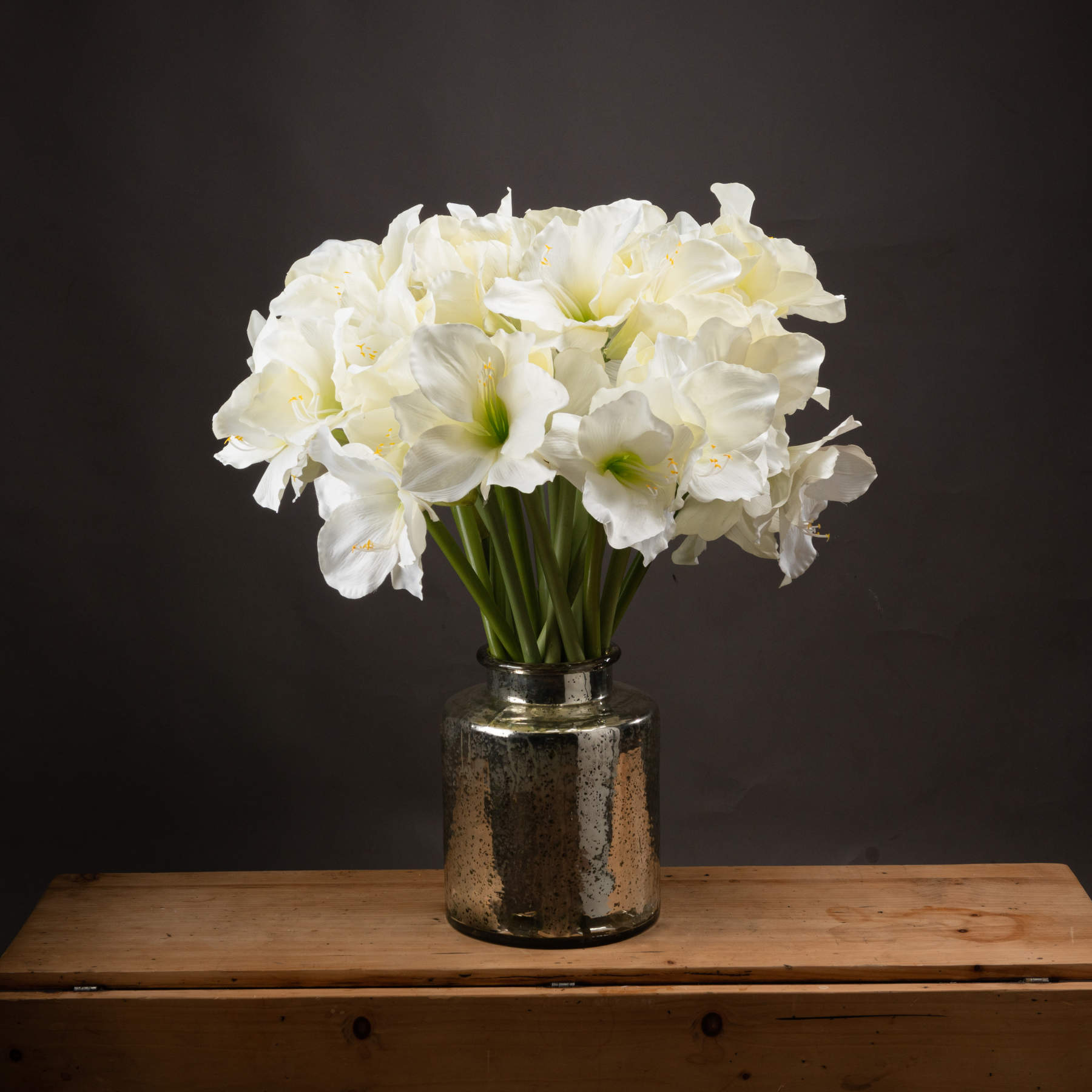 White Classic Amaryllis Flower