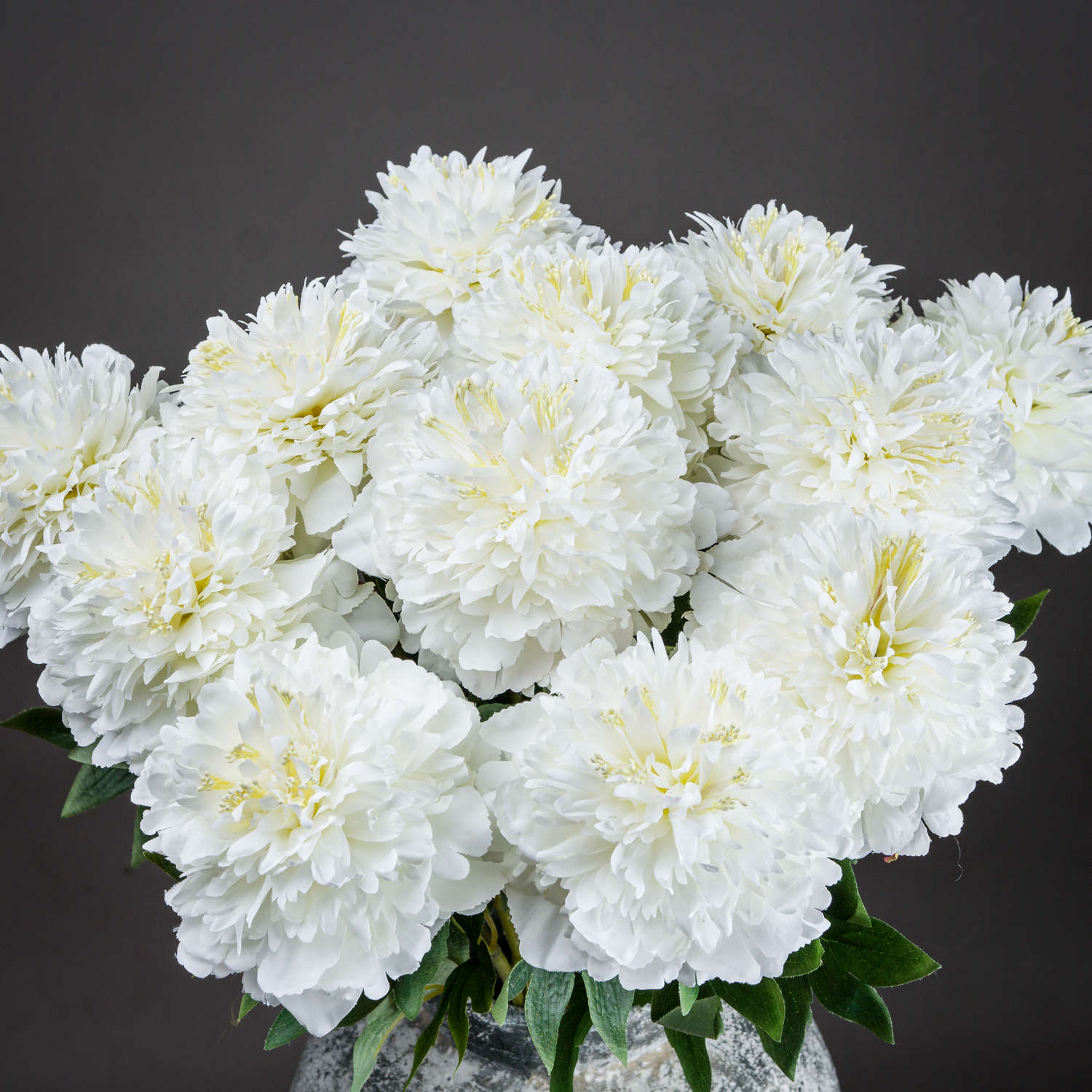 White Classic Peony