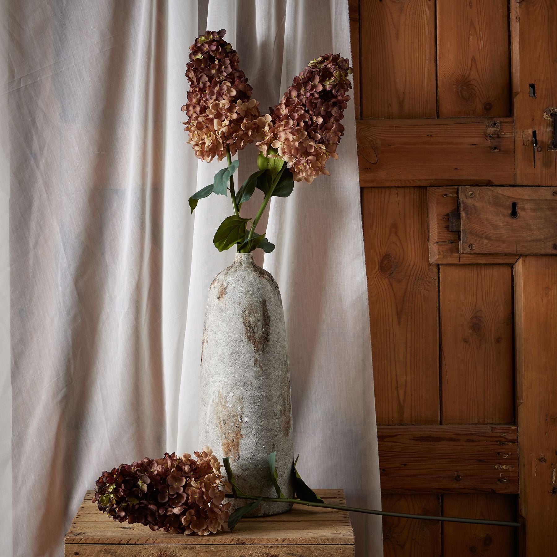 Spear Burgundy Hydrangea