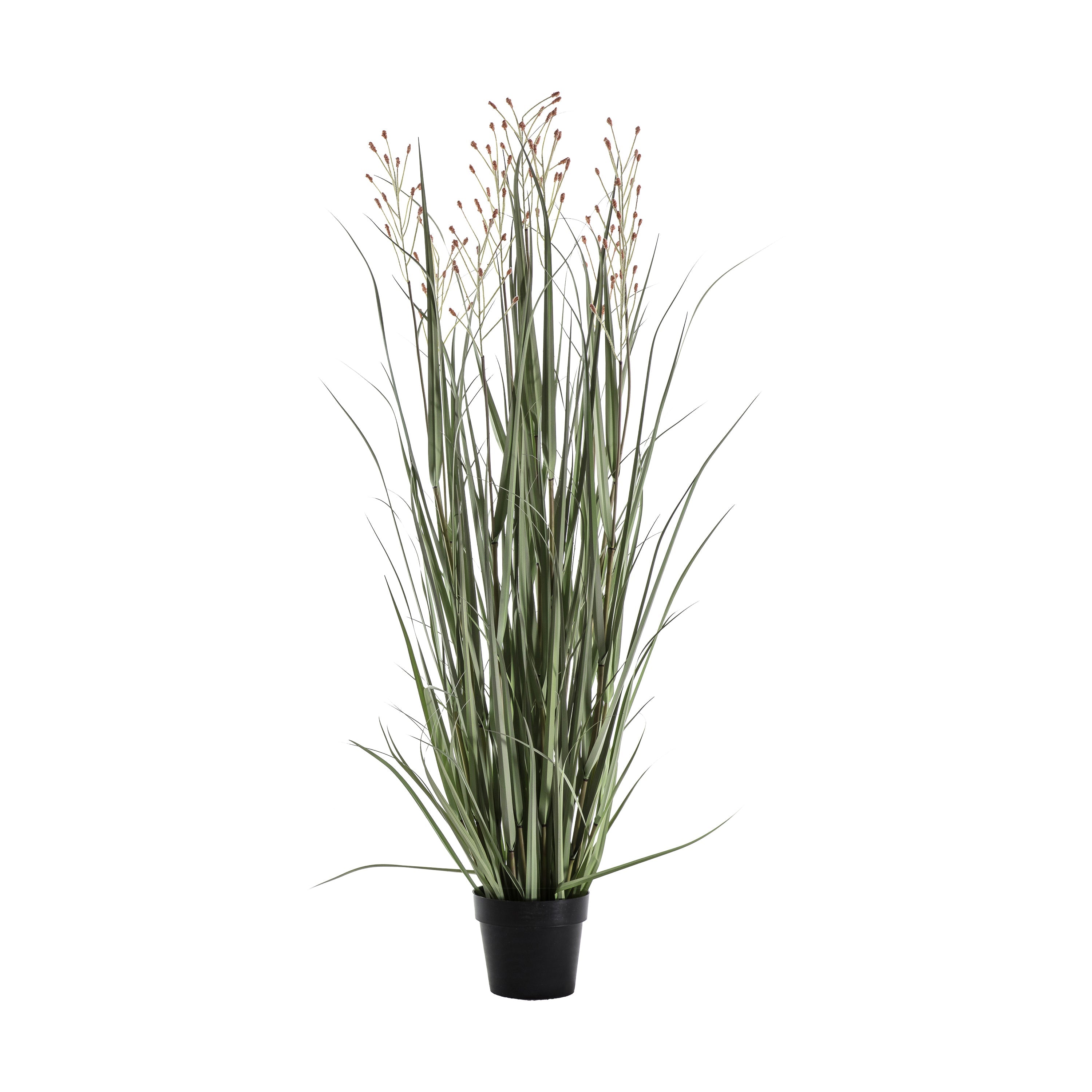 Artificial Green Russet Potted Grass - 2 Size's