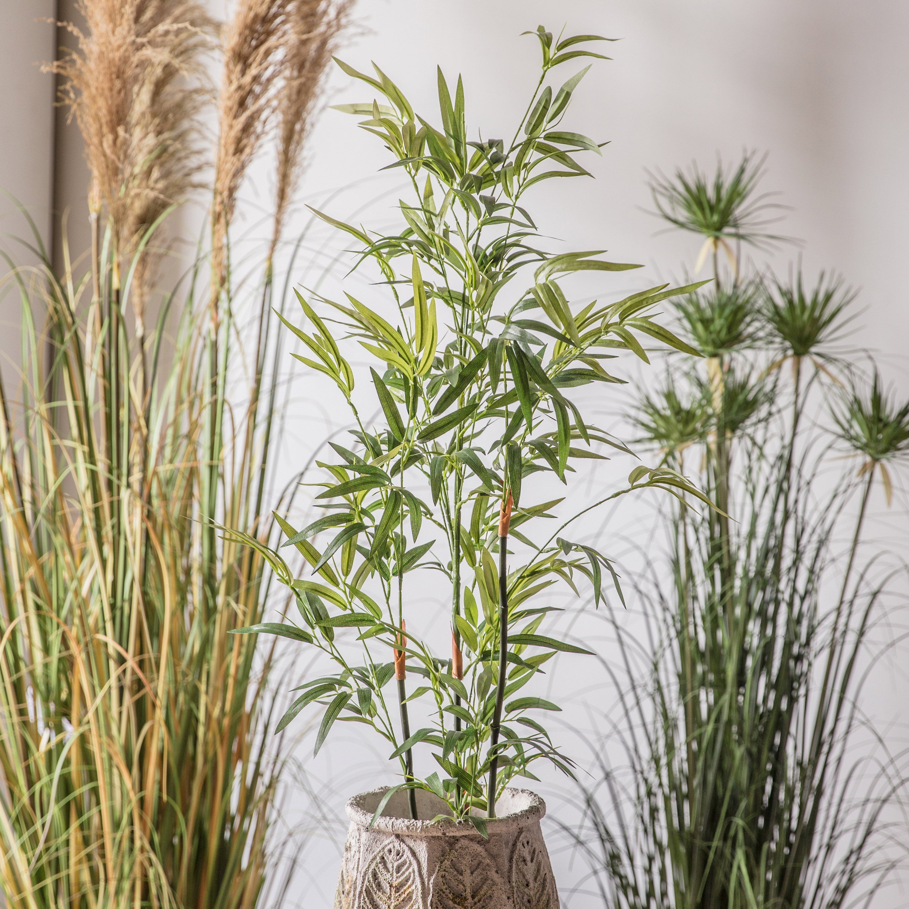 Lush Bamboo Tree's - 2 Sizes