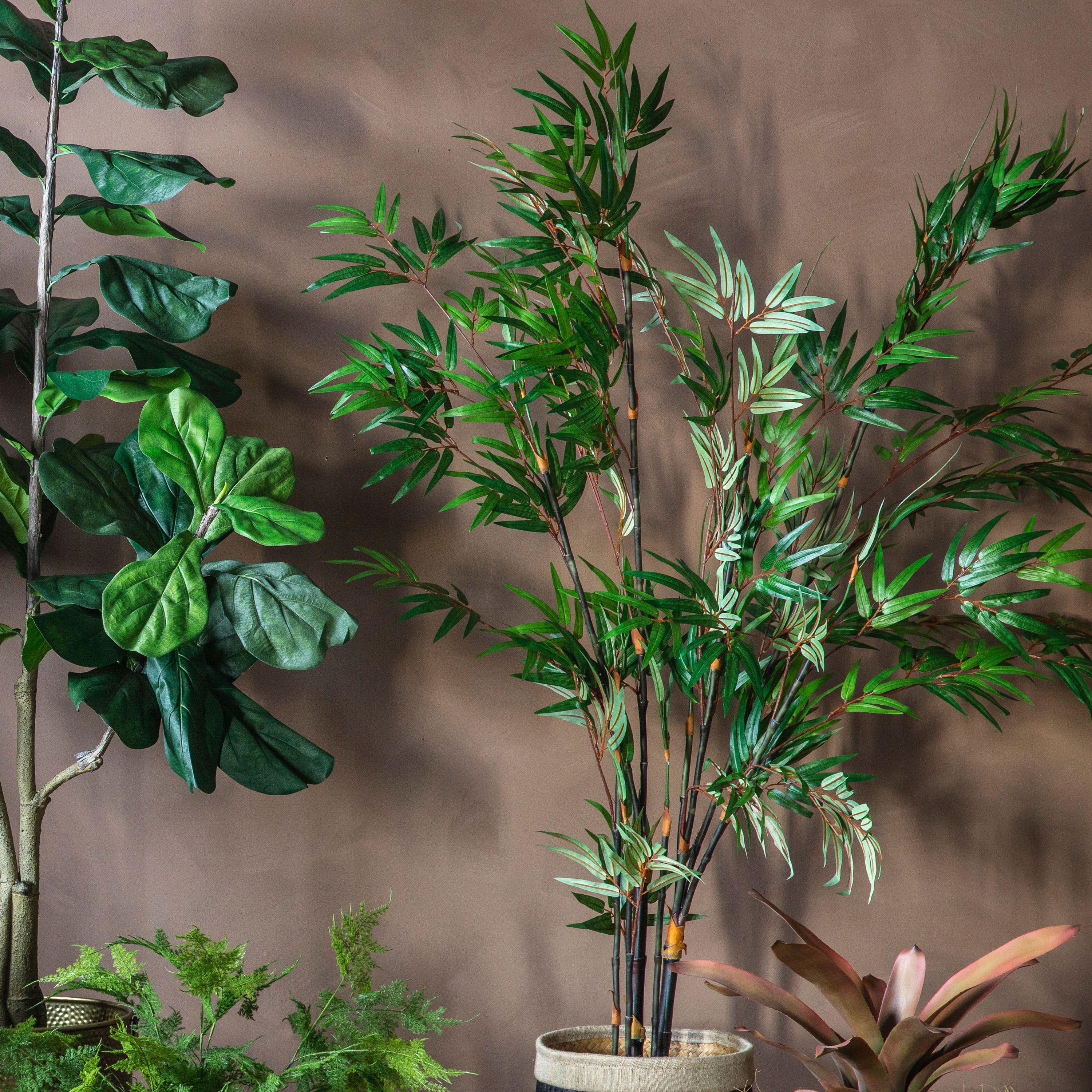 Lush Bamboo Tree's - 2 Sizes