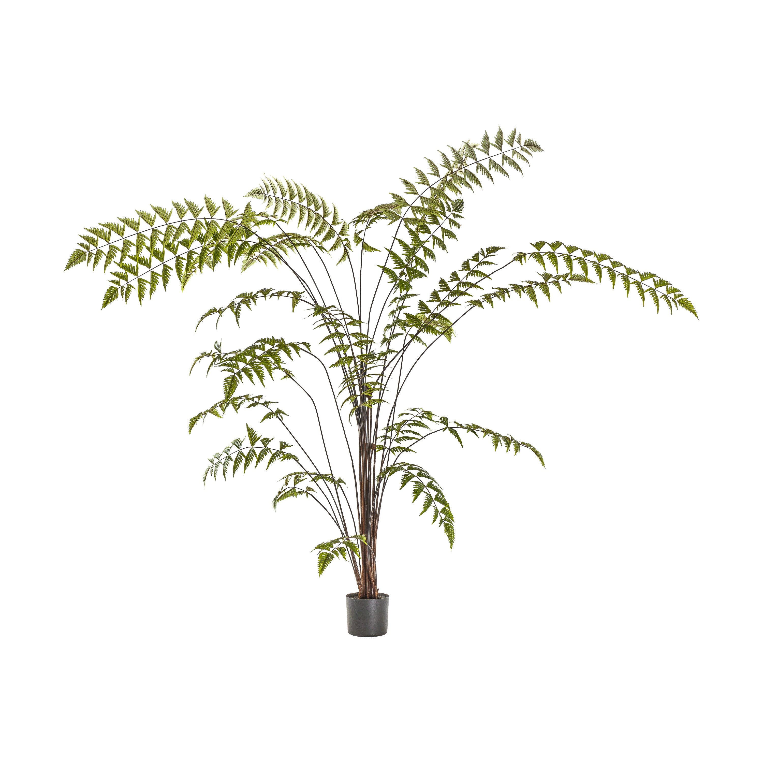 Artificial Butterfly Fern's - Different Sizes