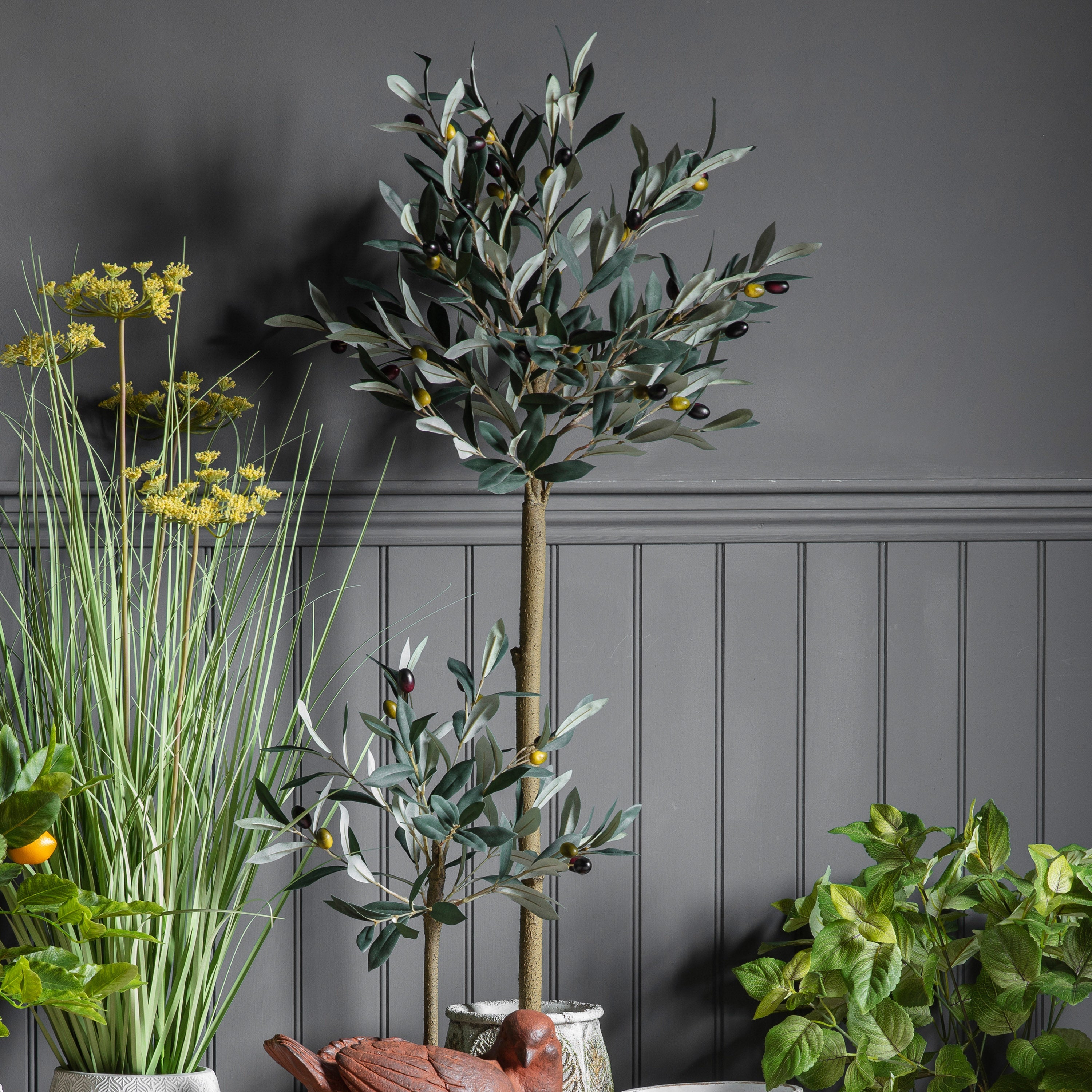 Mediterranean Olive Tree - 3 Sizes