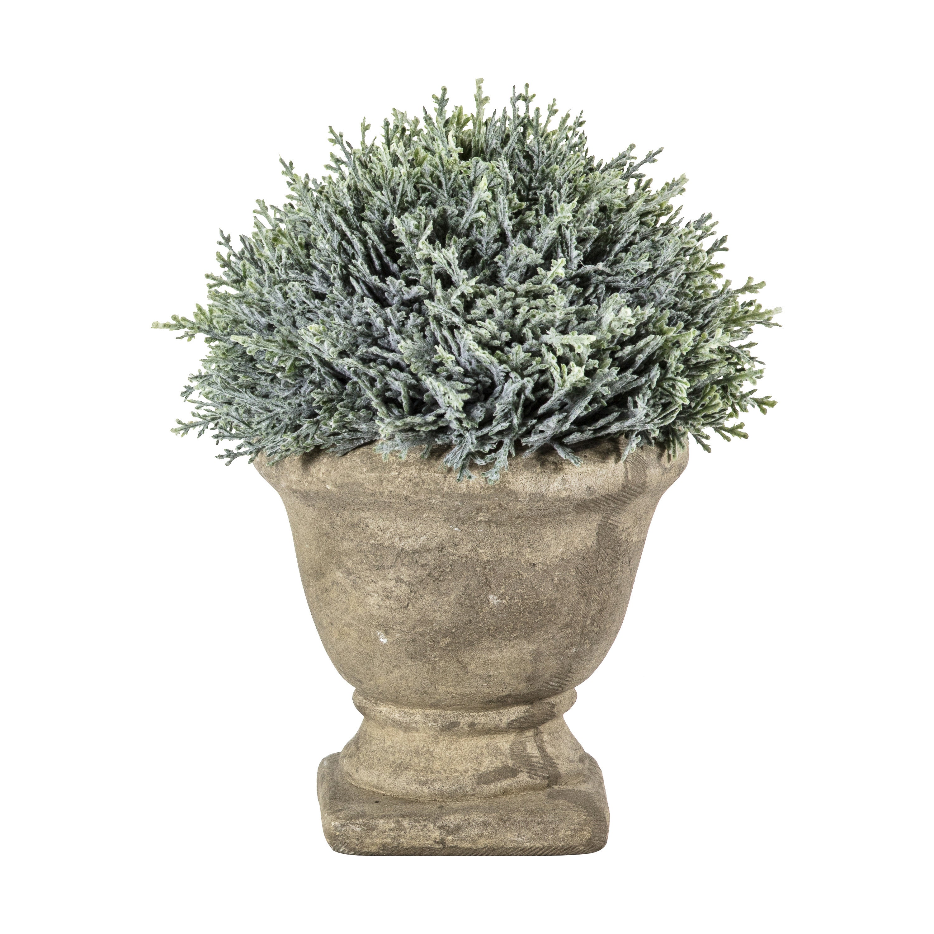 Cypress Topiary in Stone Effect Urn