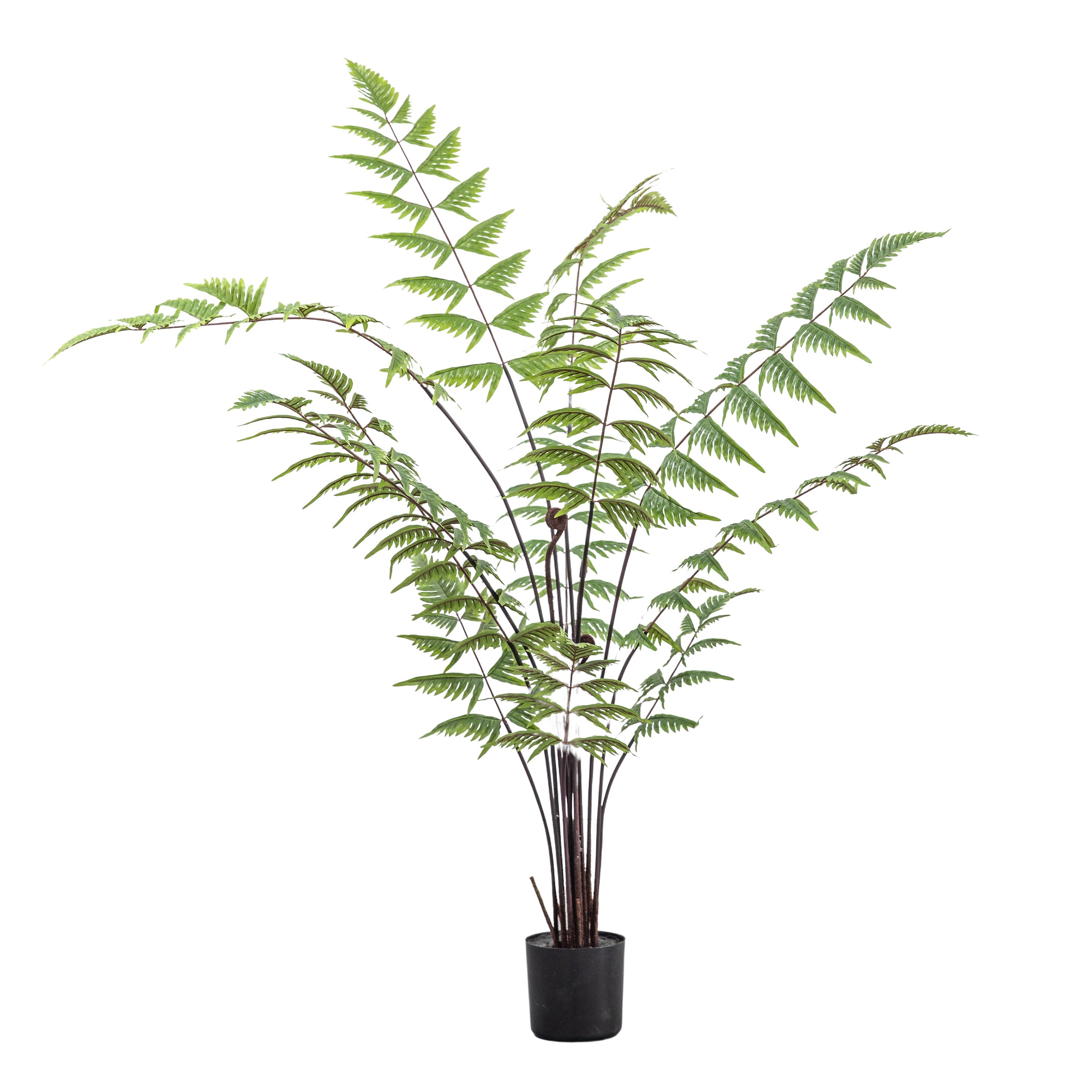 Artificial Butterfly Fern's - Different Sizes