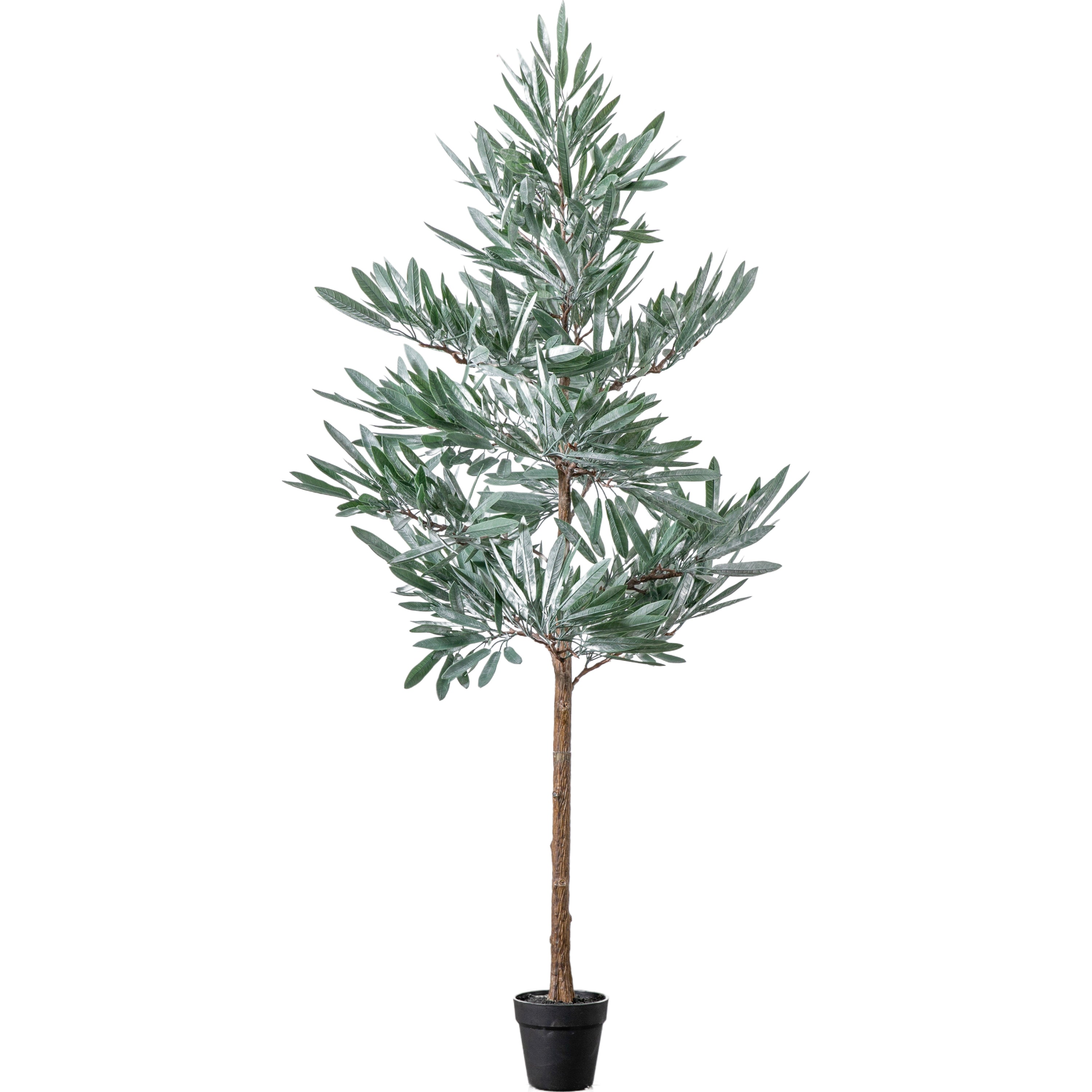 Realistic Eucalyptus Tree's - Different Sizes