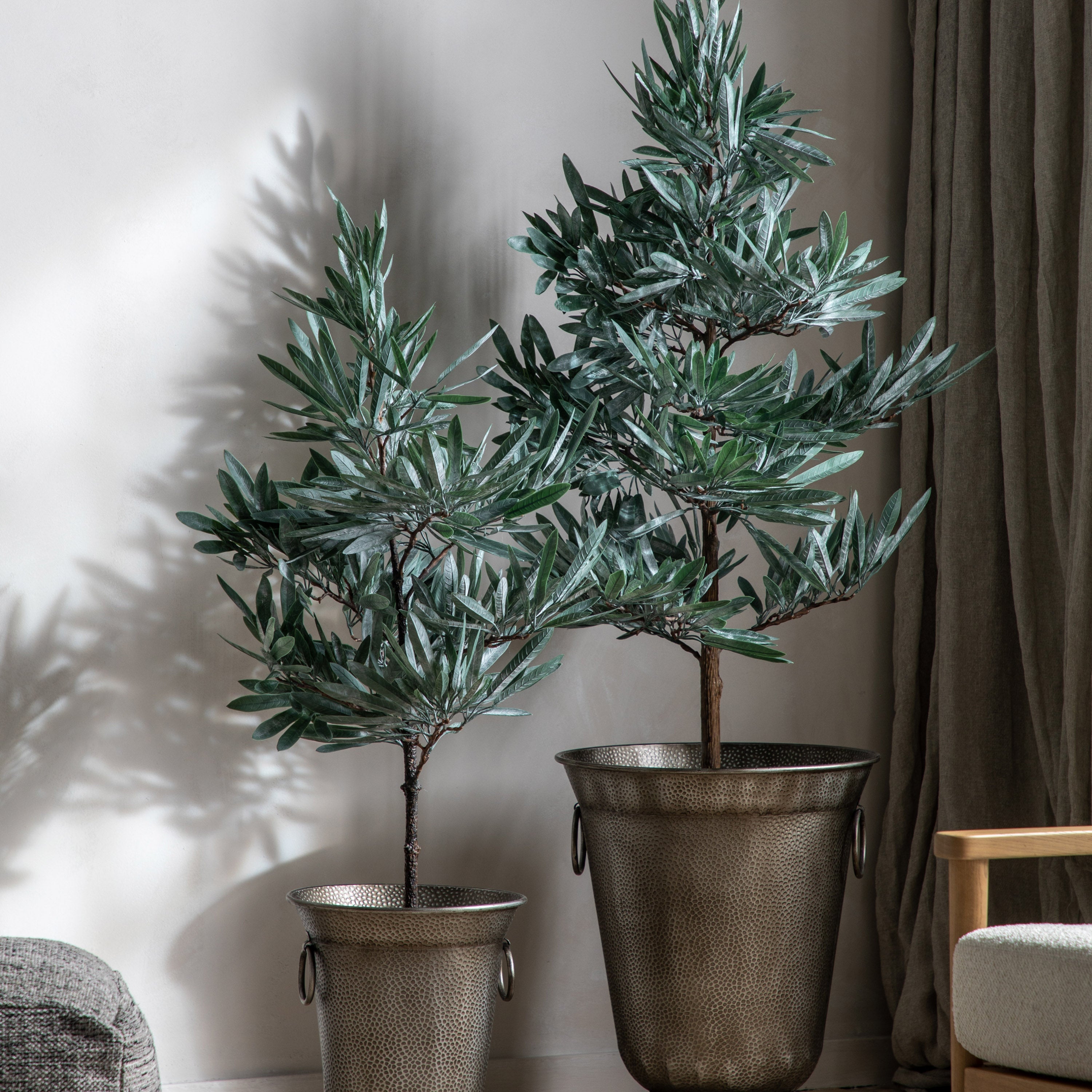 Realistic Eucalyptus Tree's - Different Sizes