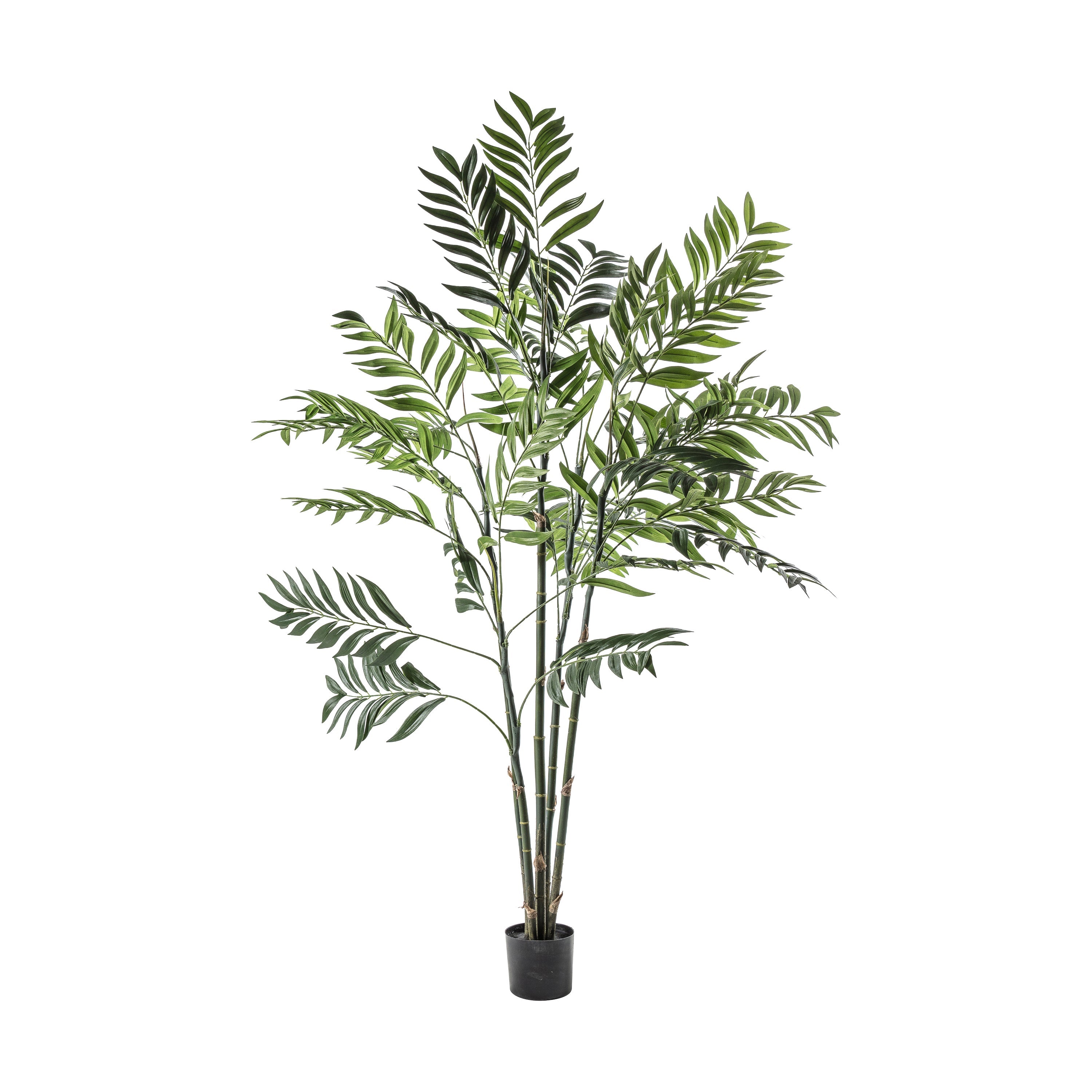 Artificial Areca Palm Tree's -  2 Sizes